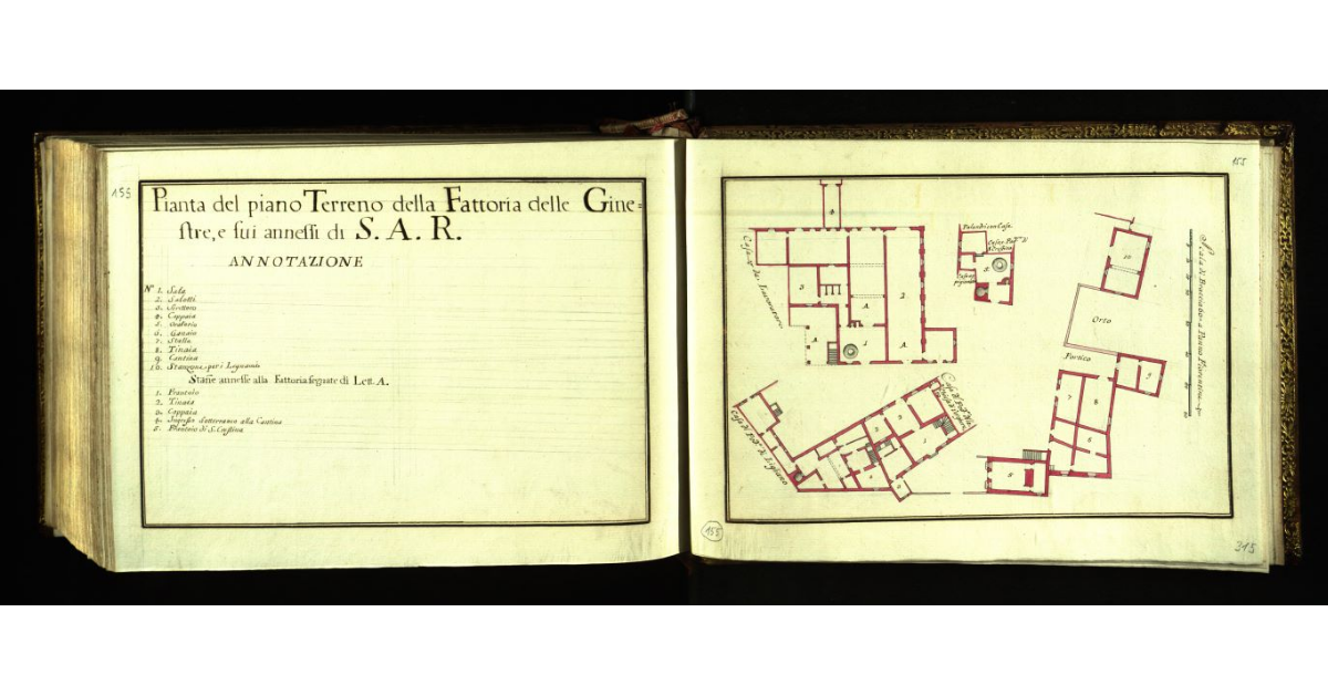 Pianta del piano terreno della Fattoria delle Ginestre e suoi annessi di S.A.R