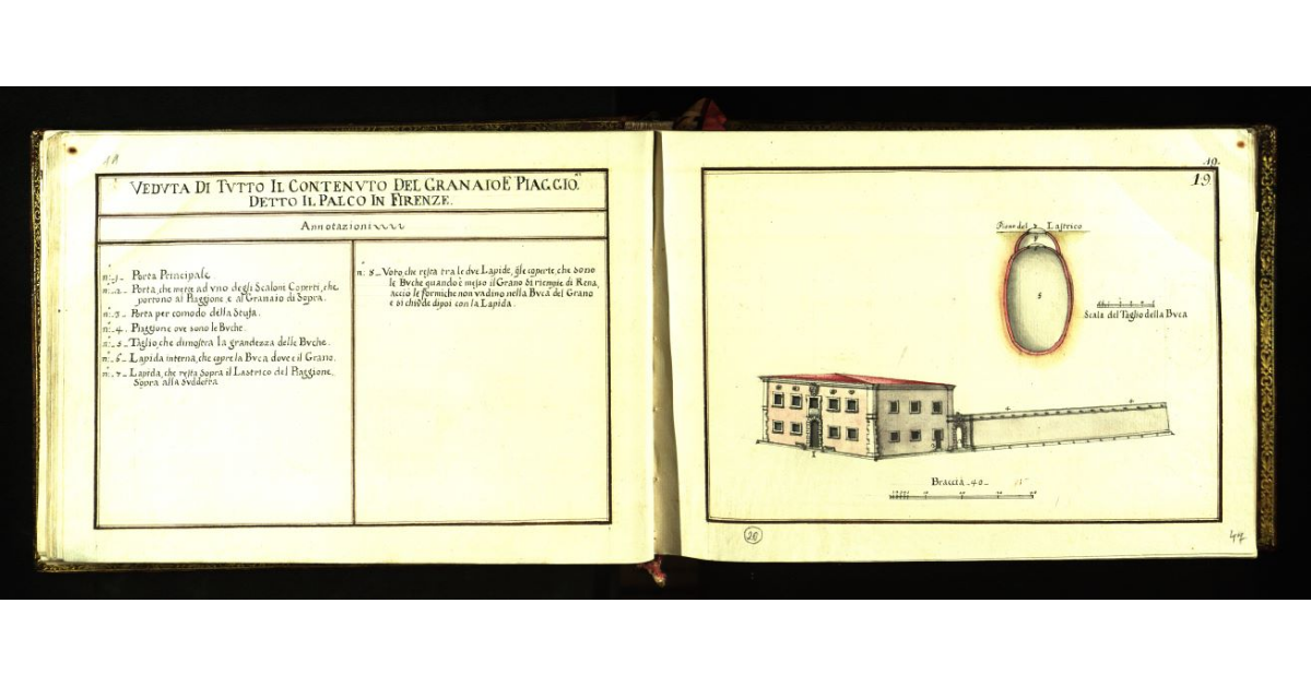 Veduta di tutto il contenuto del Granaio e Piaggione detto Il palco in Firenze