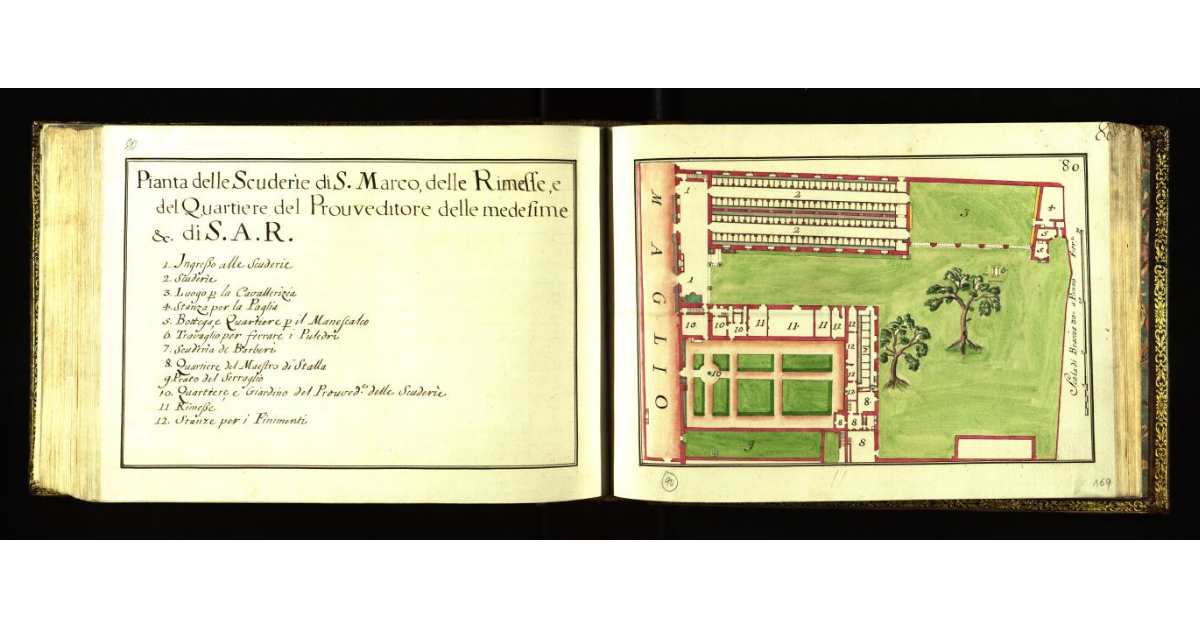 Pianta delle scuderie di San Marco, delle rimesse e del Quartiere del Provveditore, delle medesime, ecc. di S.A.R