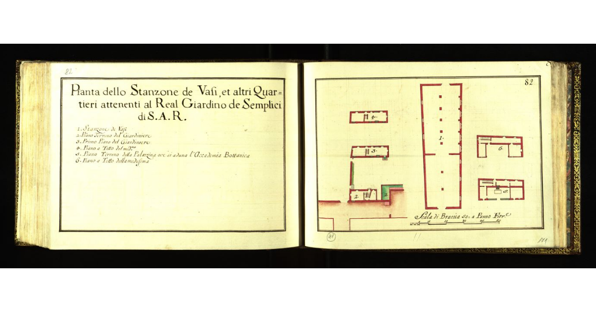 Pianta dello Stanzone de vasi et altri quartieri attenenti al Real Giardino de Semplici di S.A.R