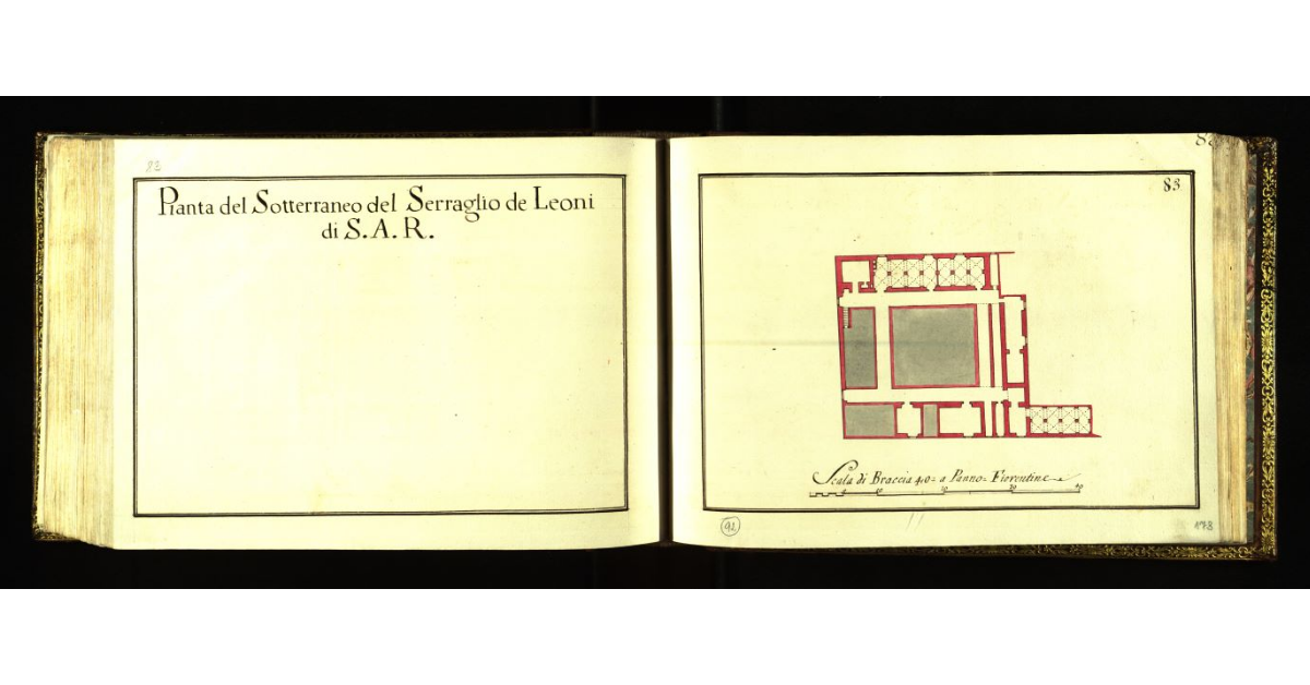 Pianta del sotterraneo del serraglio dei Leoni di S.A.R