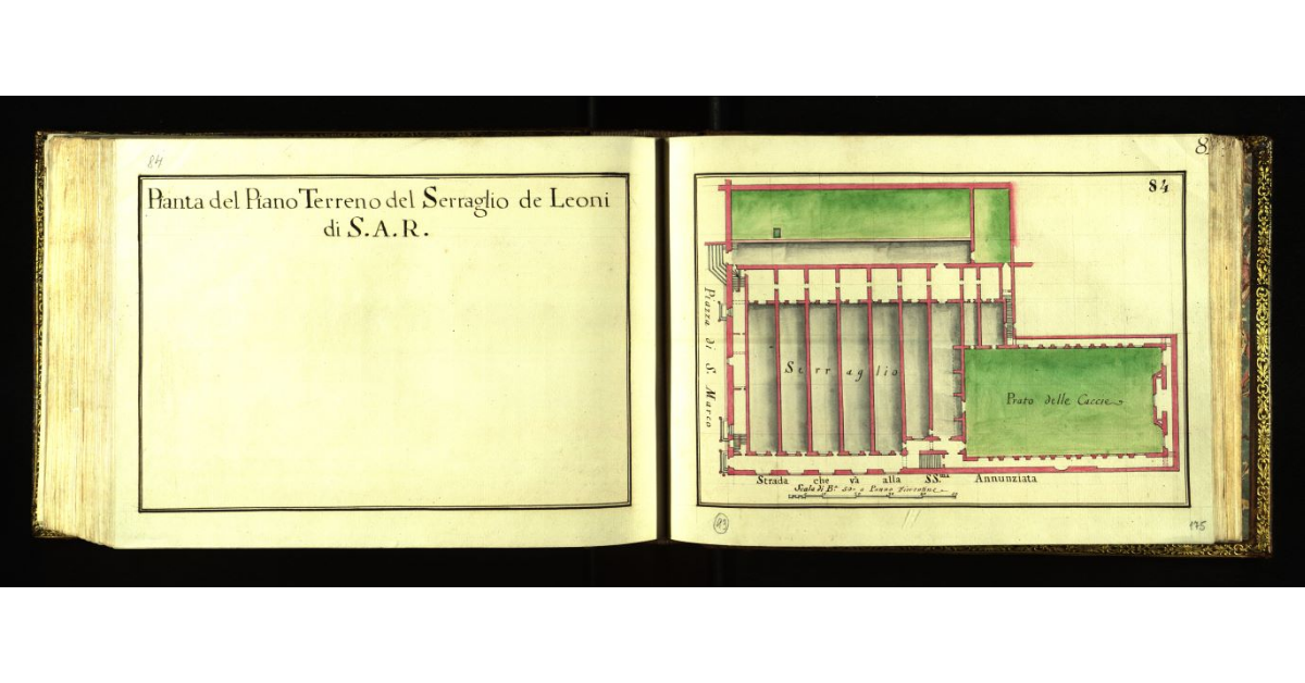 Pianta del piano terreno del Serraglio dei Leoni di S.A.R