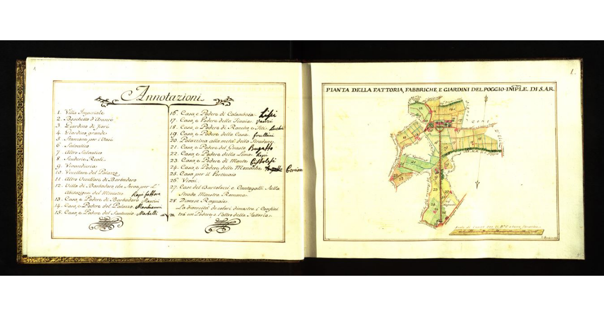 Pianta della fattoria, fabbriche e giardini del Poggio Imperiale di S.A.R. [a Firenze]
