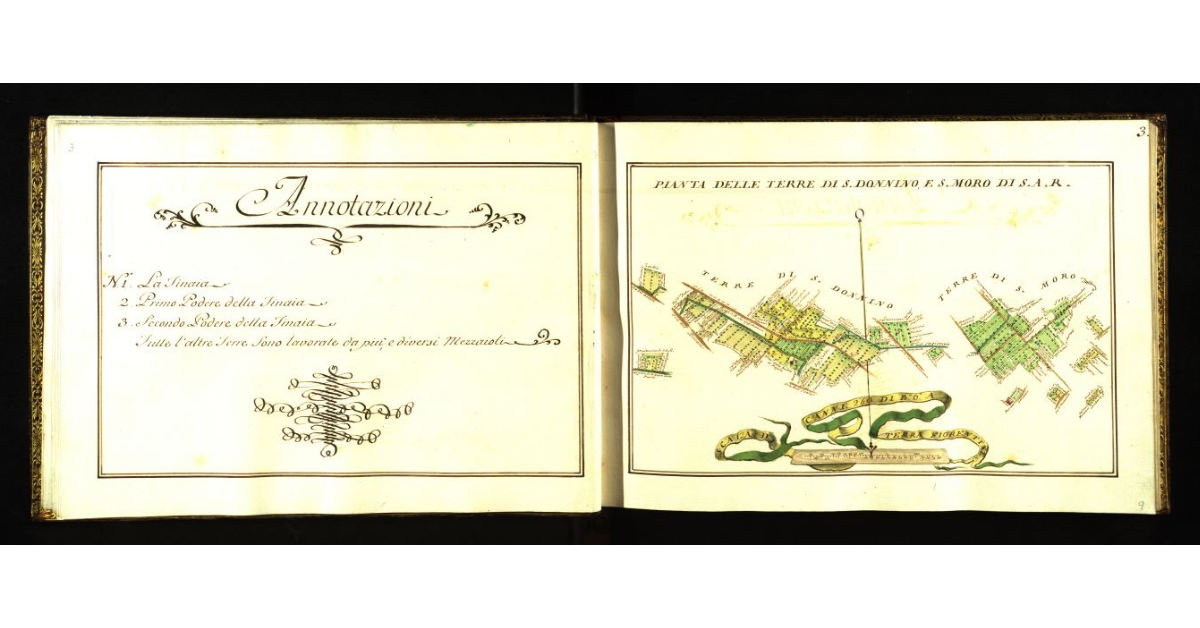 Pianta delle terre di S. Donnino e S. Moro di S.A.R. [a Signa]