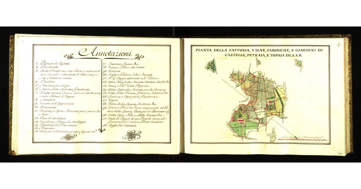 Pianta della fattoria, vigne, fabbriche e giardini di Castello, Petraia e Topaia [a Firenze] di S.A.R