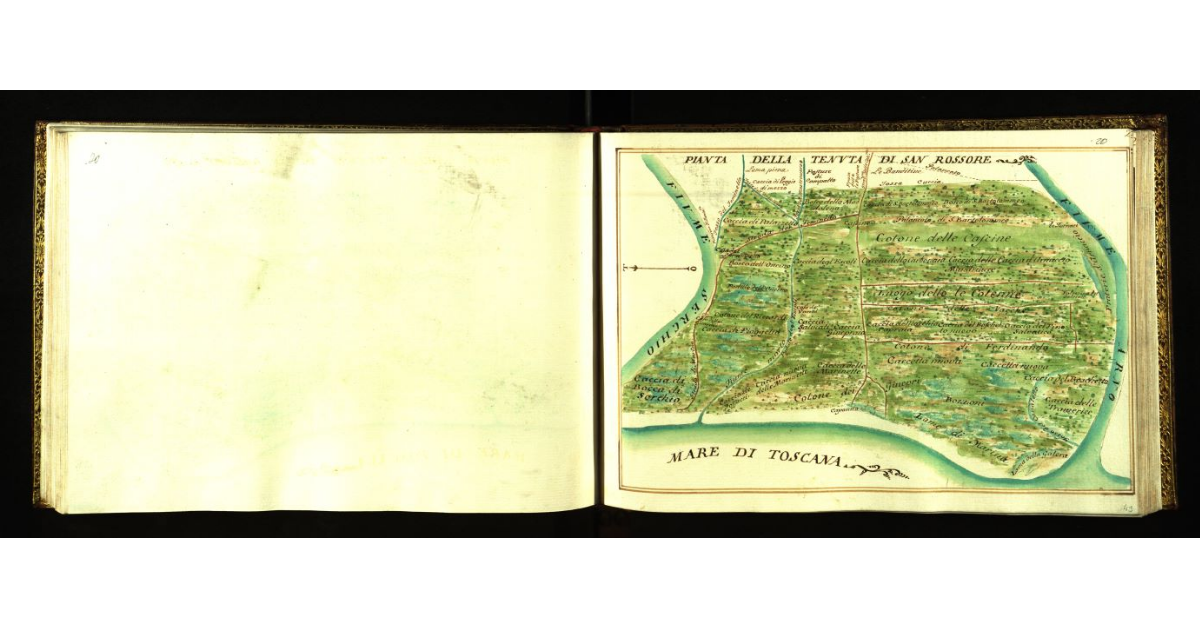 Pianta della tenuta di San Rossore [a Pisa]