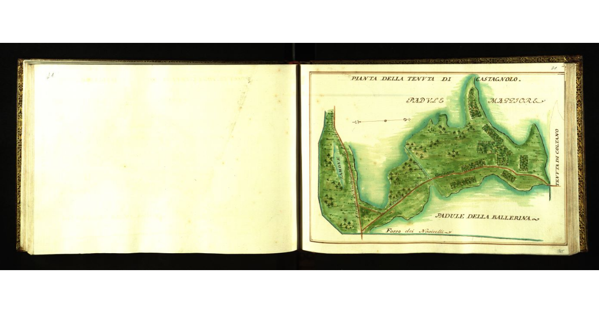 Pianta della tenuta di Castagnolo [a Livorno]