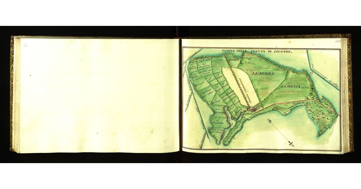 Pianta della tenuta di Coltano [a Pisa]