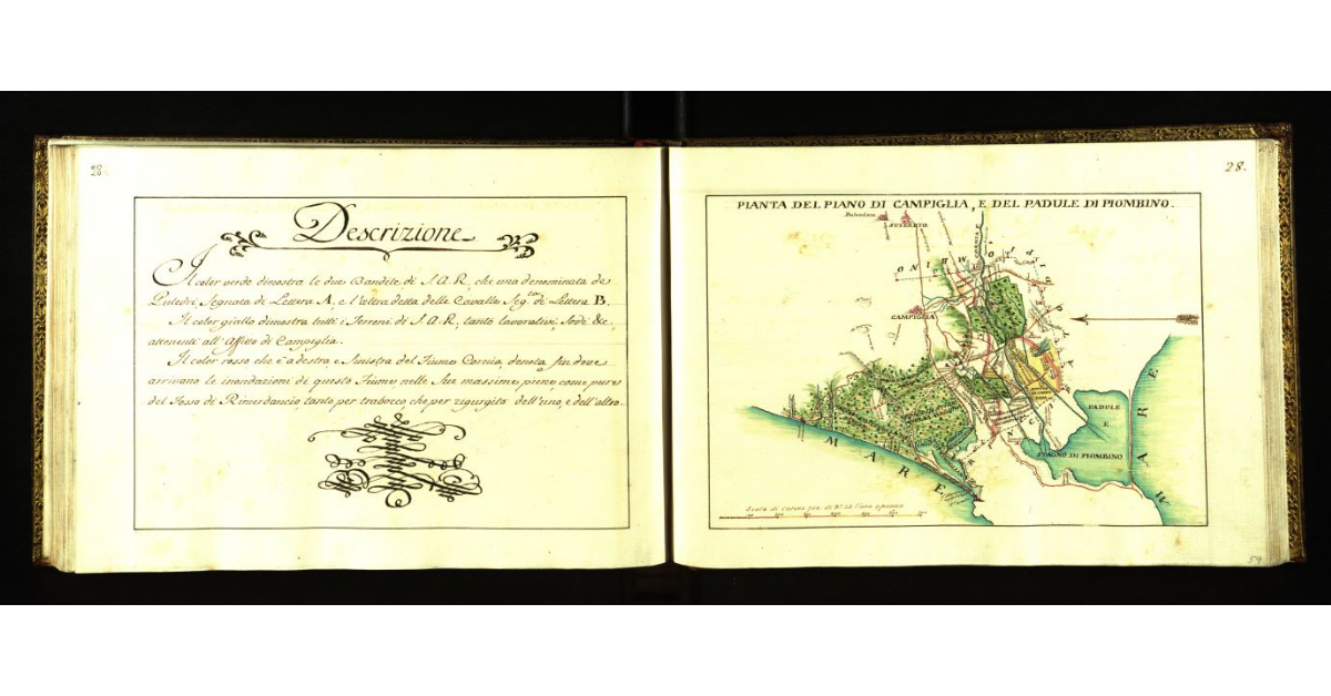 Pianta del piano di Campiglia e del padule di Piombino di S.A.R