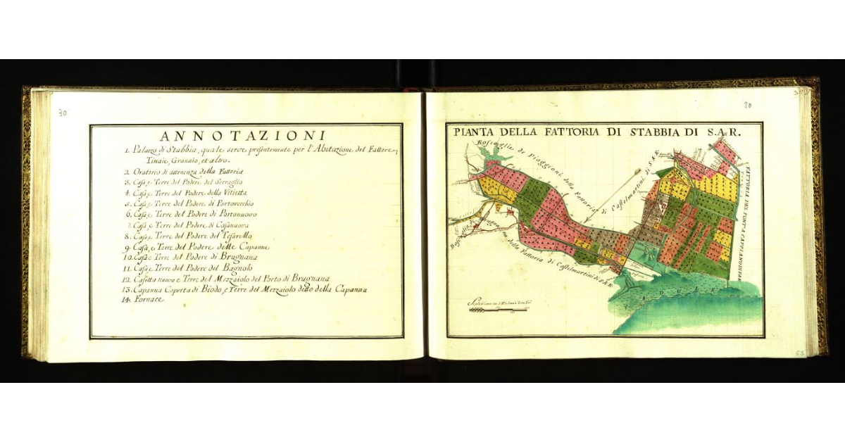 Pianta della fattoria di Stabbia [a Cerreto Guidi] di S.A.R