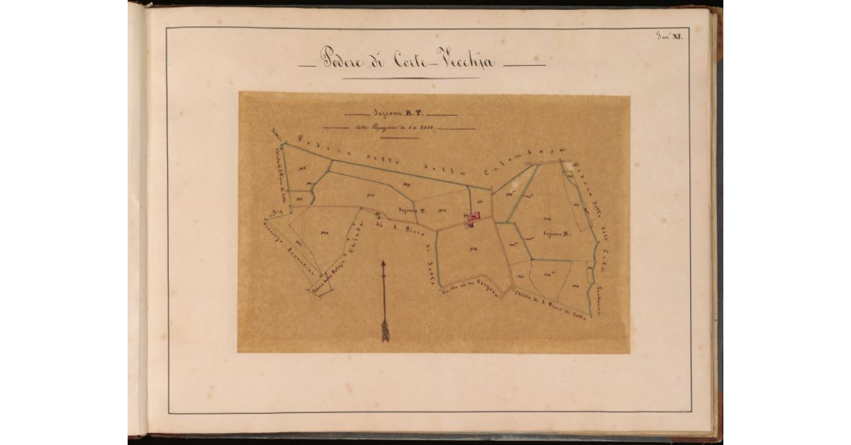 Podere di Corte Vecchia