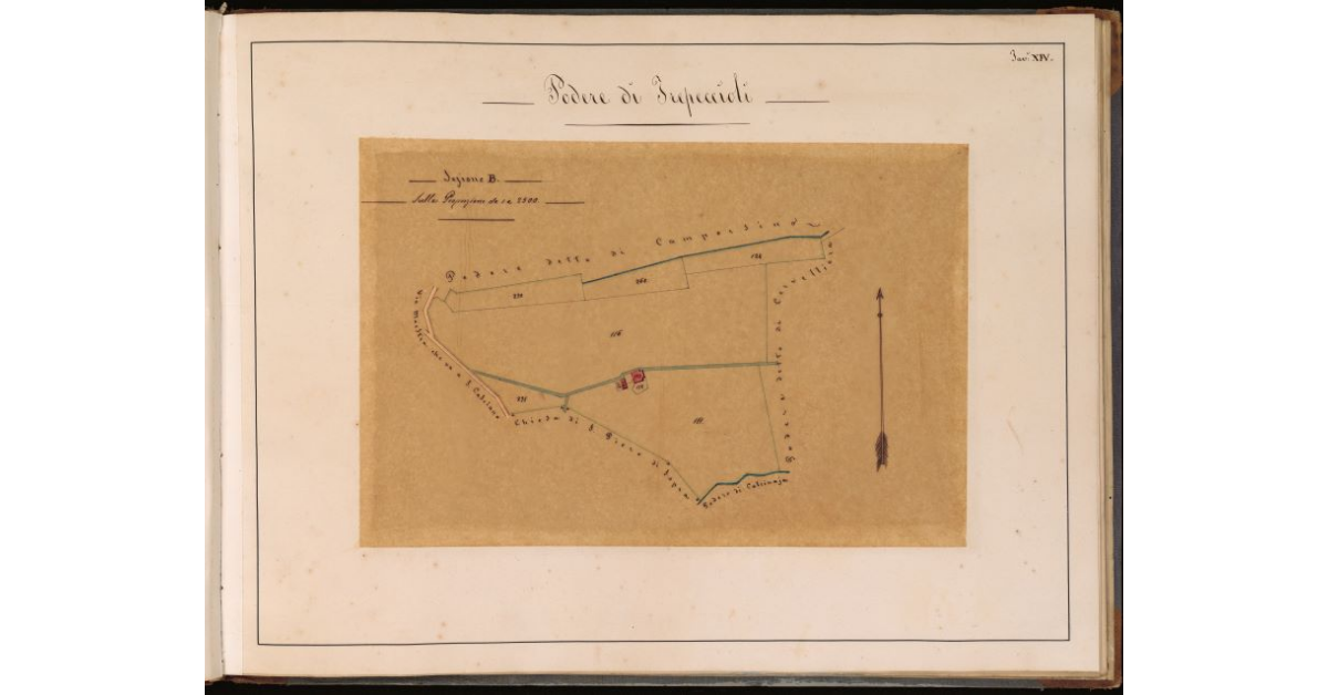 Podere di Trepeccioli