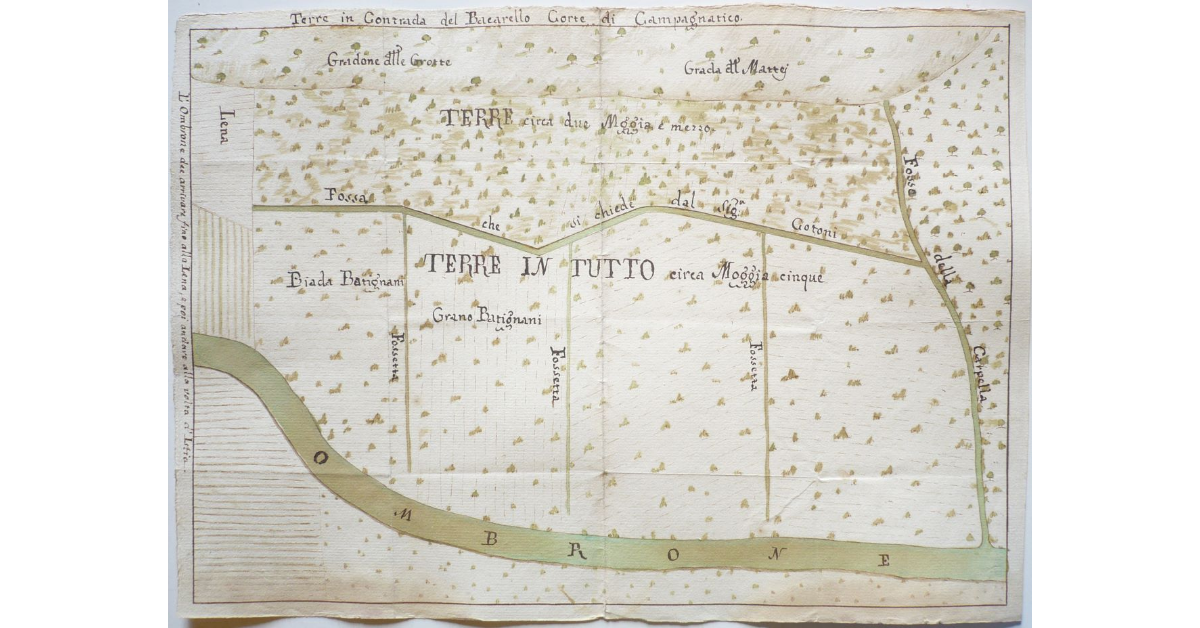 Terre in contrada del Bacarello. Corte di Campagnatico