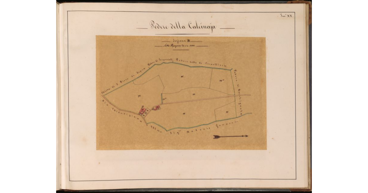 Podere della Calcinaja