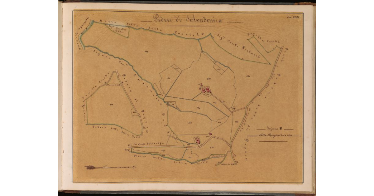 Podere di Salvadonica