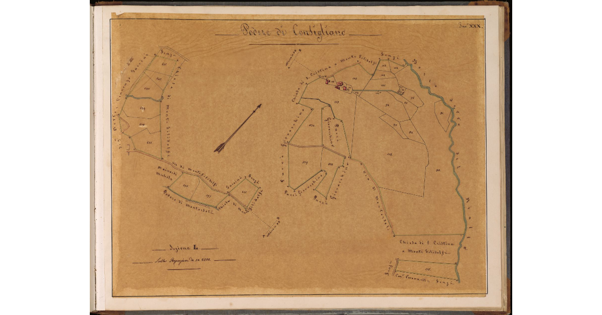 Podere di Consigliano