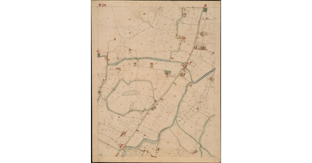 T. 78 [Quinto Circondario]