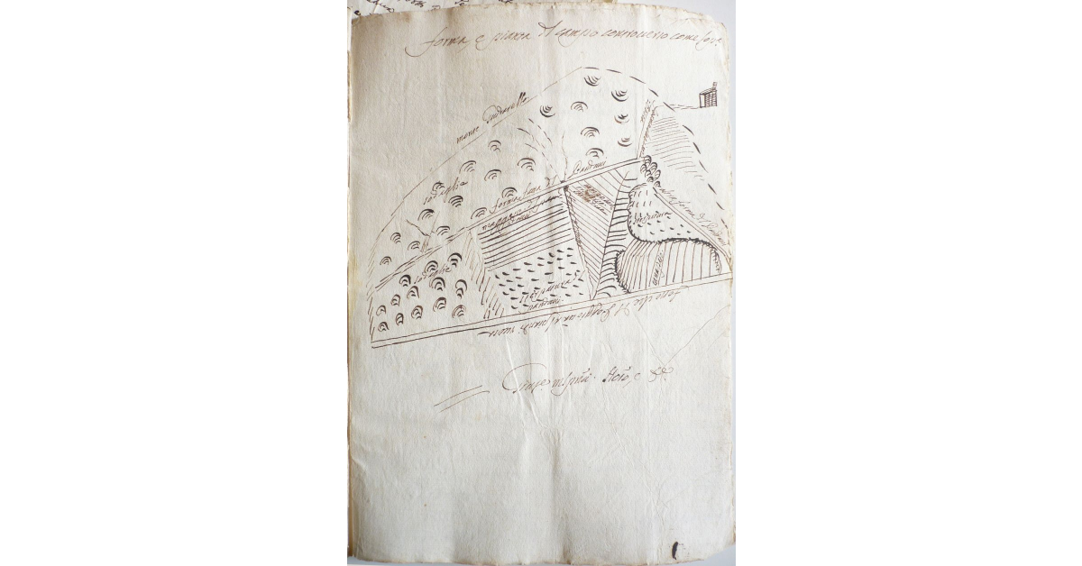 Forma, e pianta del campo controverso come sopra [a Montalcino]