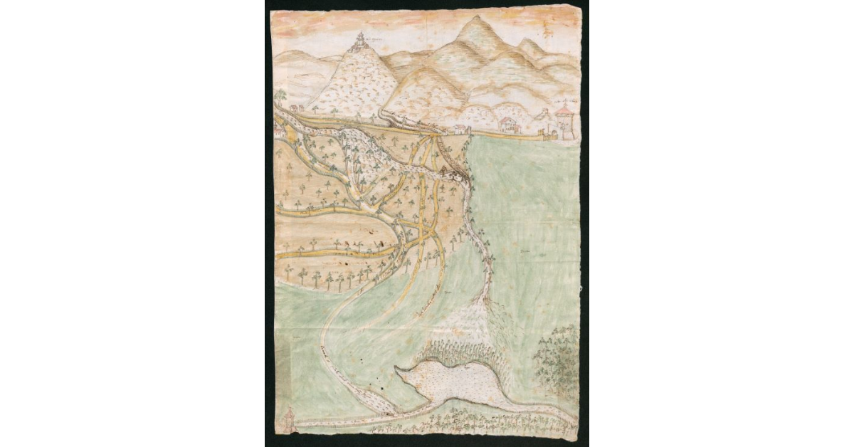 [Pianta del territorio di Montignoso]