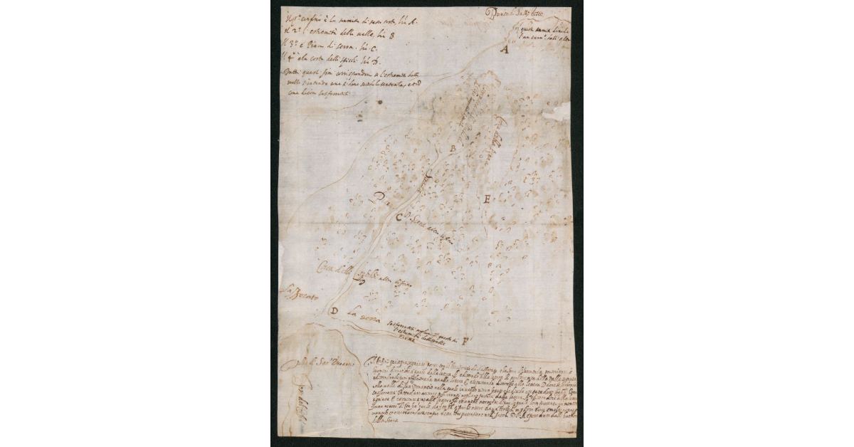 [Territorio di Montignoso]