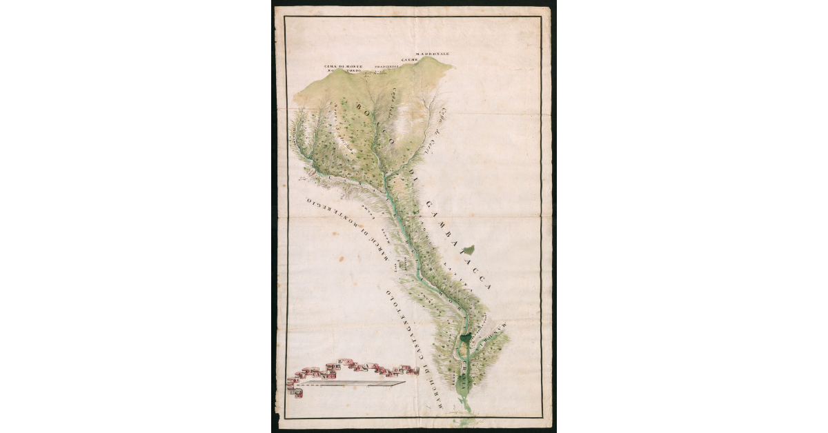 [Pianta del bosco della Gambatacca]