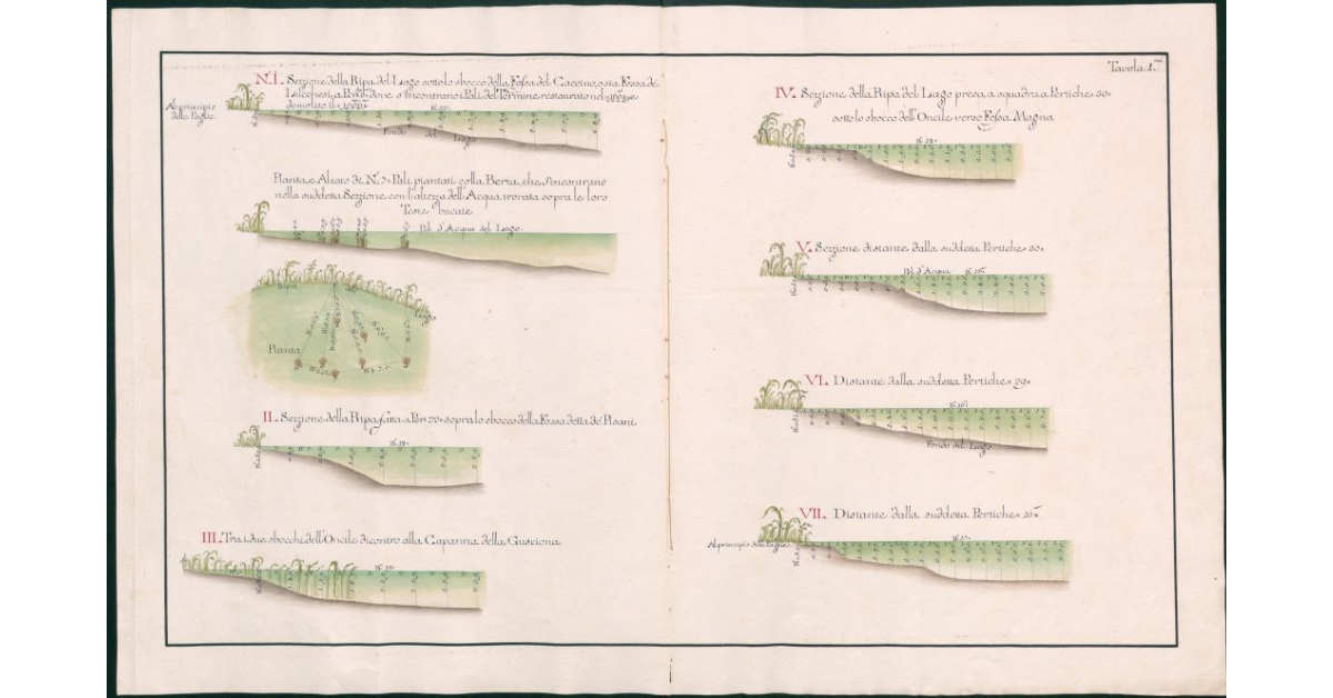 [Sezioni del lago di Massaciuccoli]