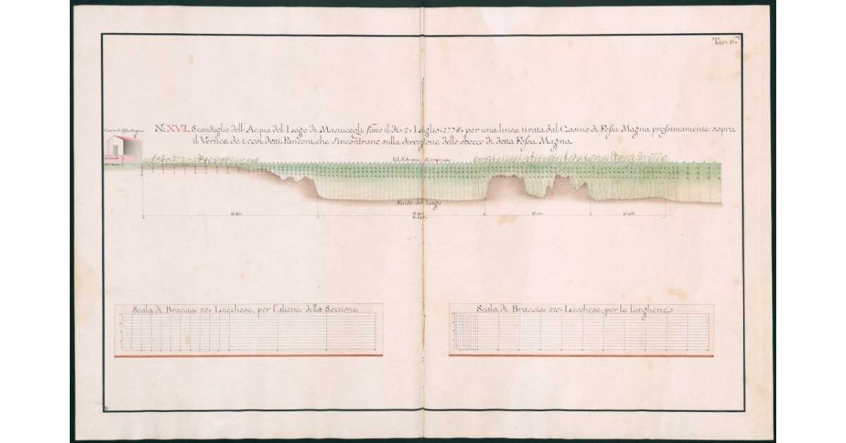 [Scandaglio dell'Acqua del Lago di Massaciuccoli]