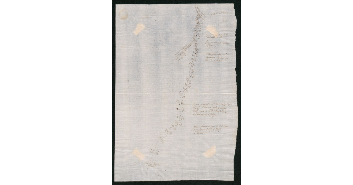 [Schizzo della linea di confine fra Castelvecchio e S. Quirico]