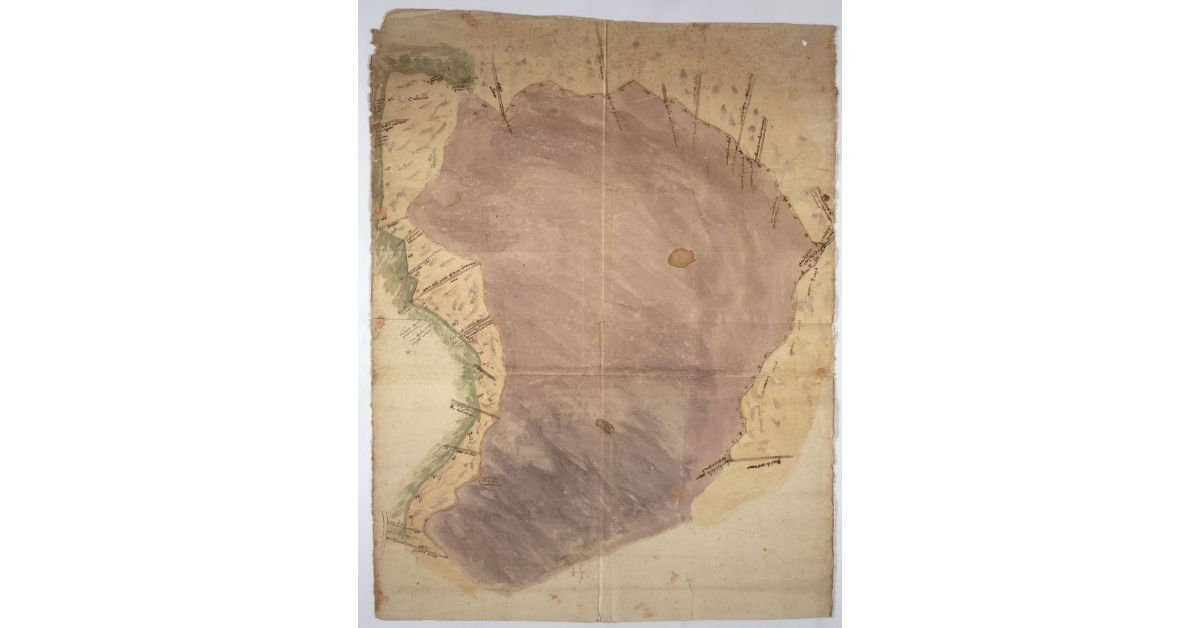 [Cartone del lago di Sesto o Bientina]