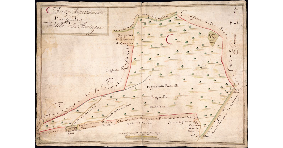 [Pianta del terzo appezzamento posto in contrada Poggialto Villa della Montagna]