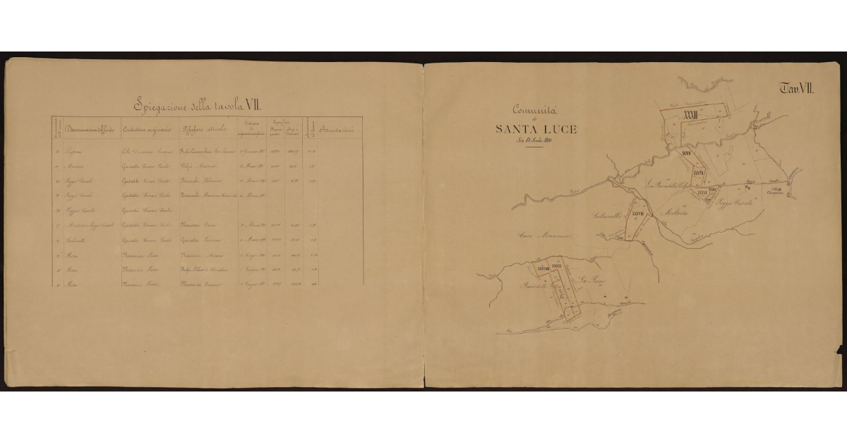 Tavola VII [dei beni livellari della Comunità di Santa Luce]