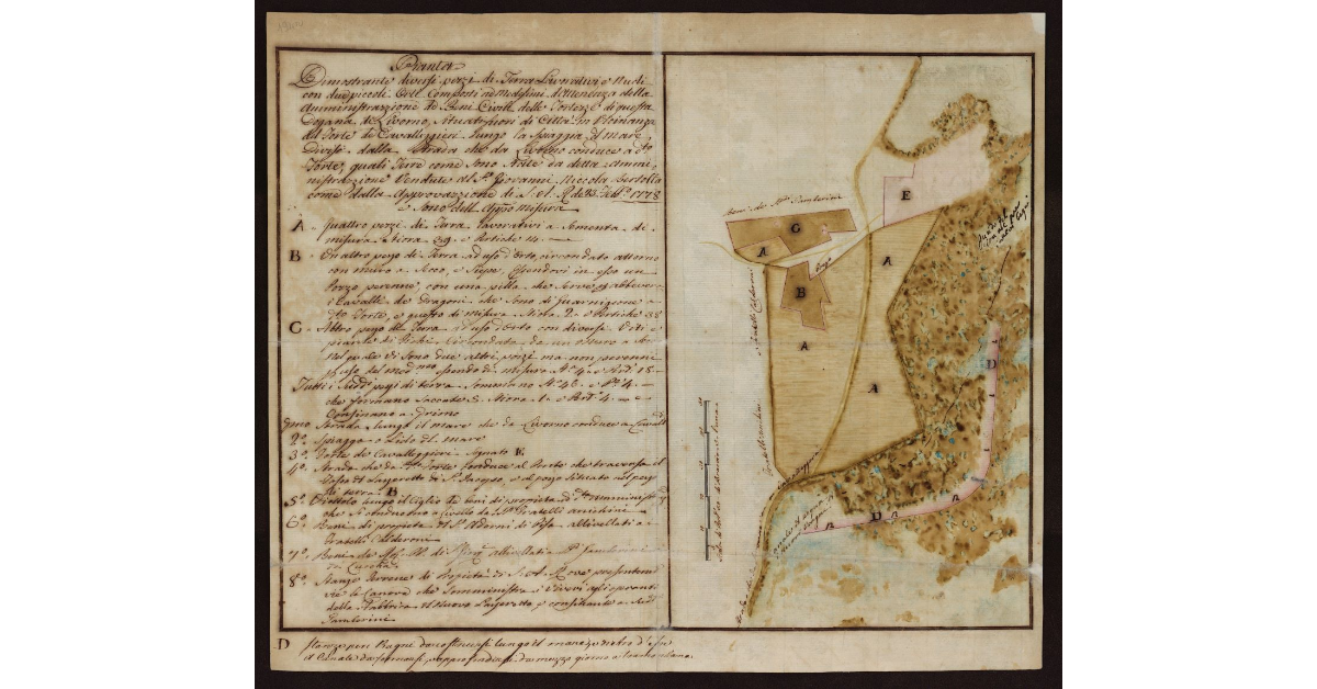 Pianta dimostrante diversi pezzi di terra lavorativi e nudi con due piccoli orti [al Forte dei Cavalleggeri a Livorno]