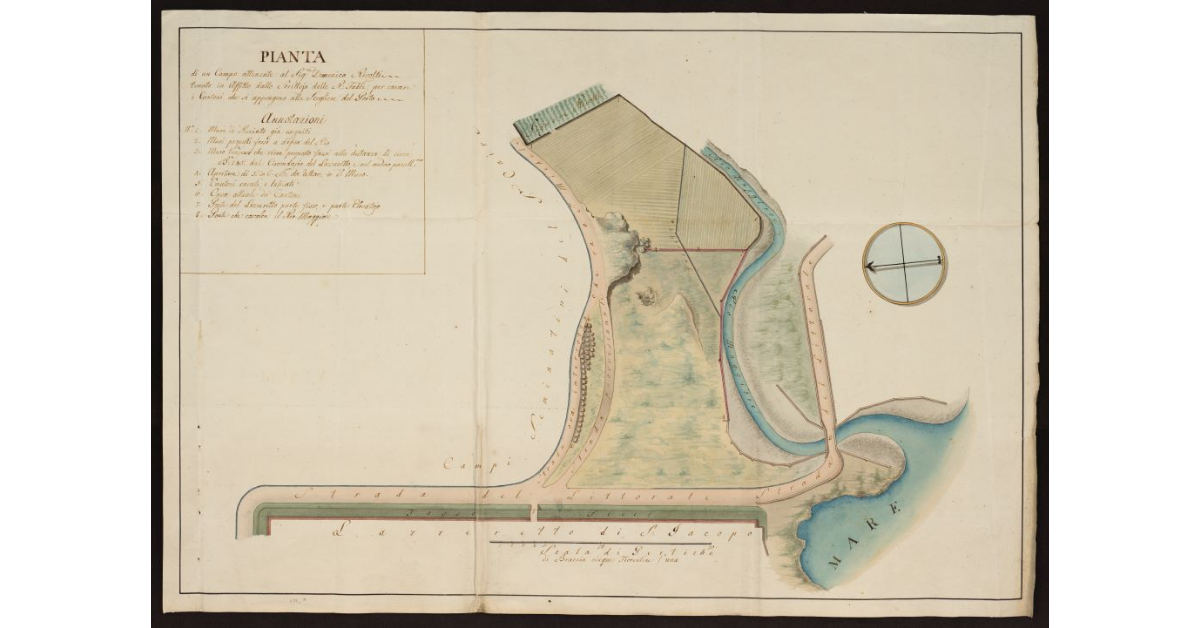 Pianta di un campo attinente al sig. Domenico Rivolti, tenuto in affitto dallo Scrittojo [a Livorno]
