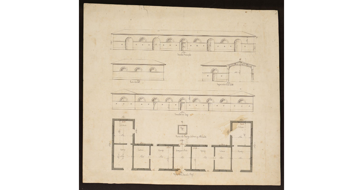 [Alzati e pianta delle rimesse e scuderie per numero 16 cavalli a Livorno]