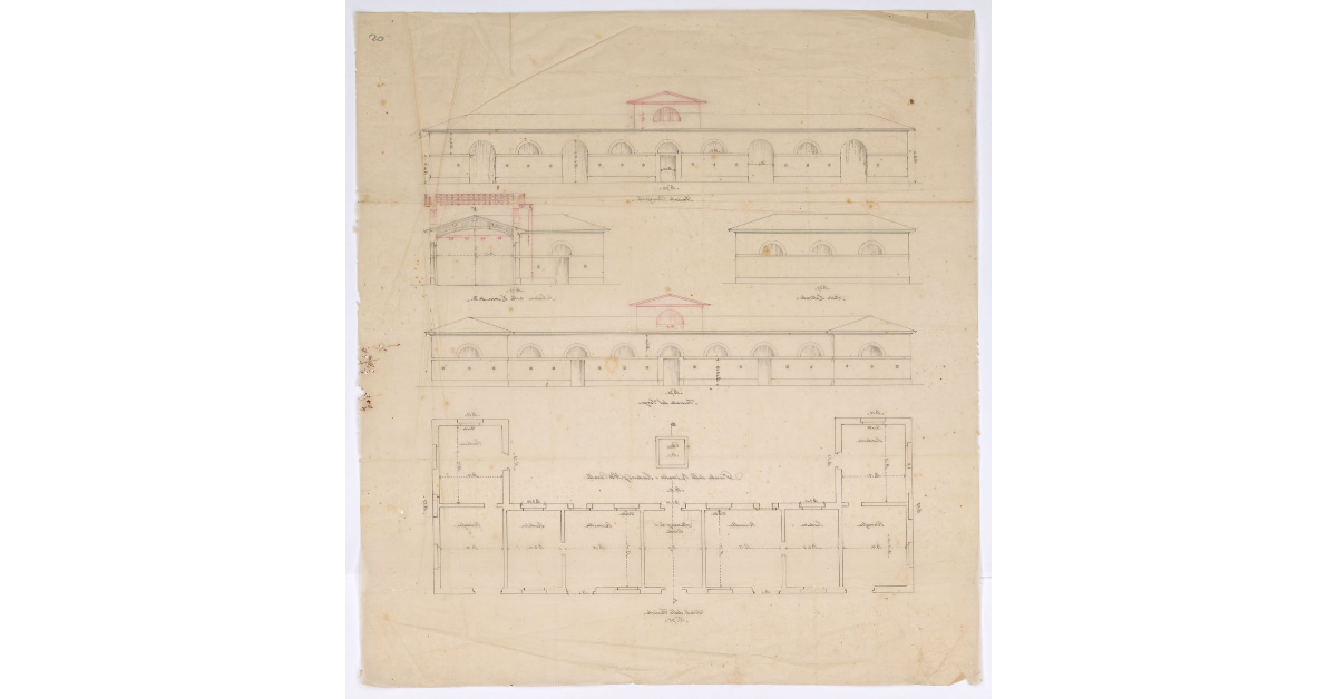 [Pianta delle rimesse e scuderie per numero 16 cavalli a Livorno]