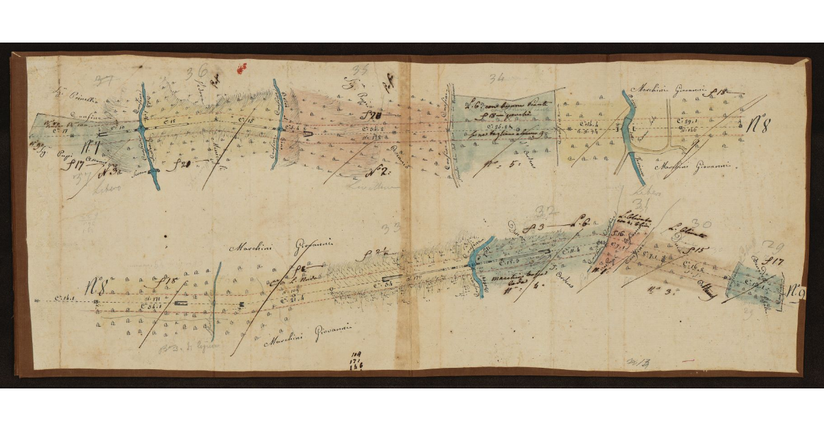 [Condotti dell'acquedotto e proprietà nell'area dei borri al Pino, ai Loti, della Ginepraia e di Torciano nel Livornese]