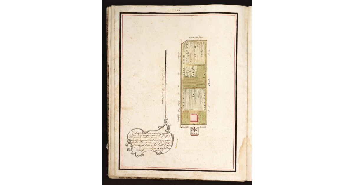 [Pianta Grifoni con muro da tutte le parti circondata senza termini]