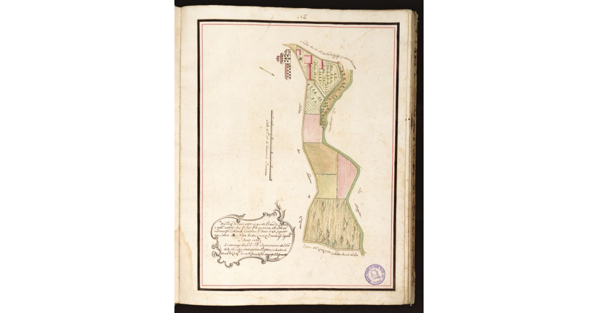 [Pianta Cucciolini con Termini tre marcati con la presente Marca]