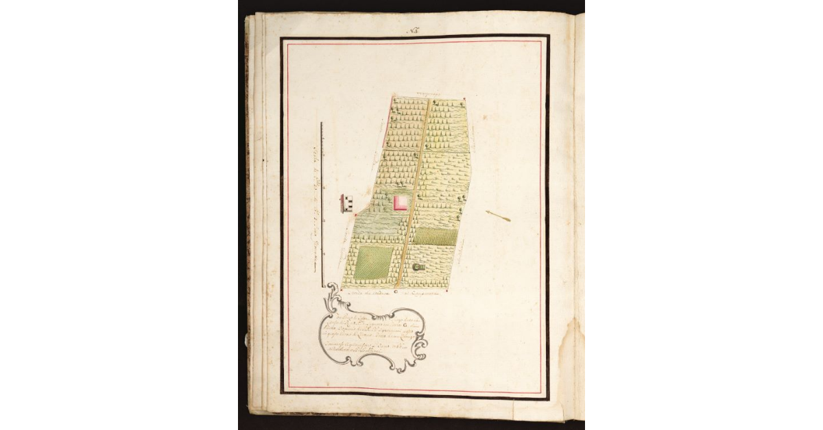 [Pianta Balbiani con Termini 4 marcati con la presente Marca]