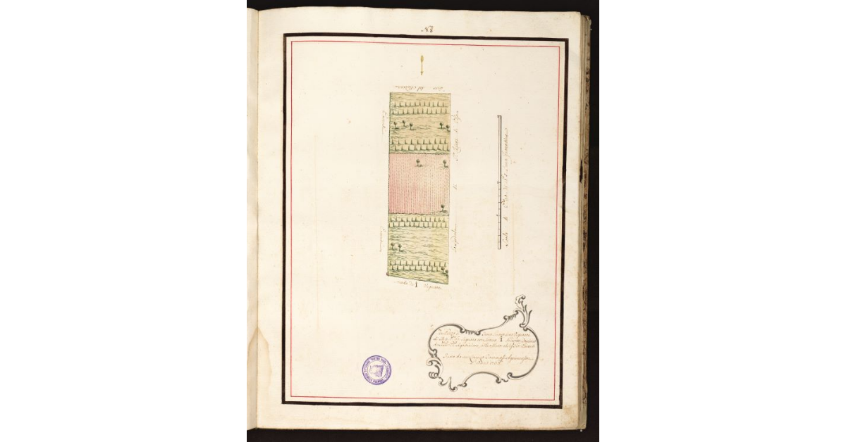 [Pianta Parenti con Termini uno con Marca simile]