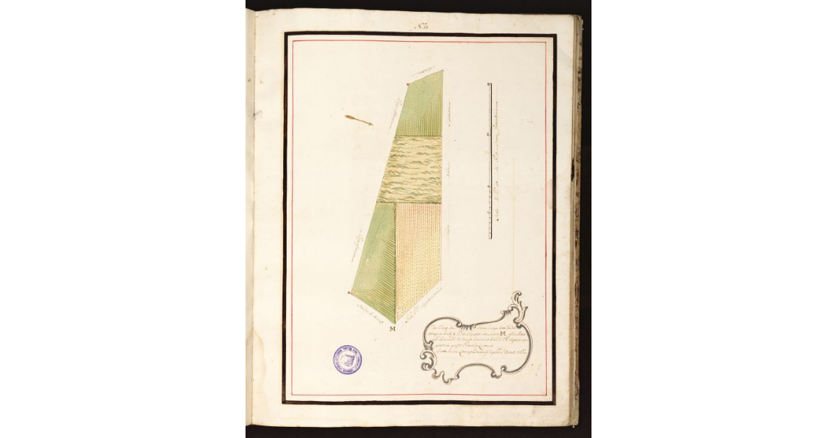 [Pianta Danielli con termini due con marca Simile]