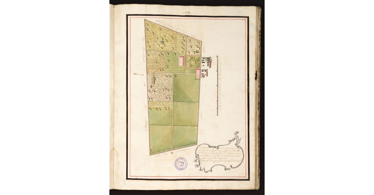 [Pianta Tamberini circondata di muro]