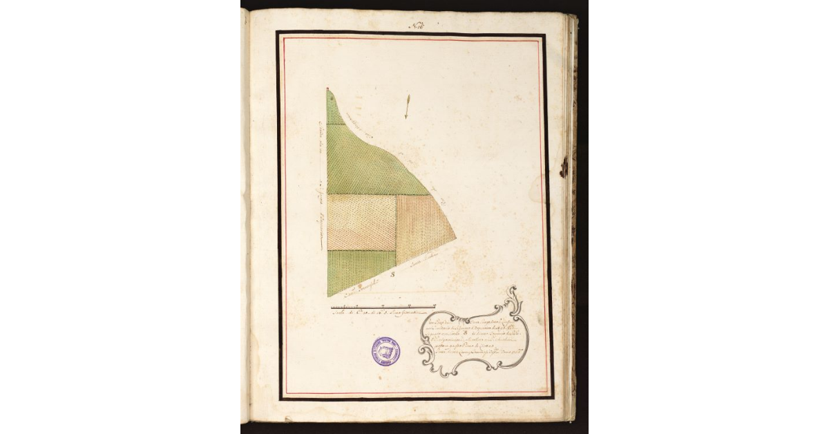 [Pianta Anichini con Termini uno con Marca simile]