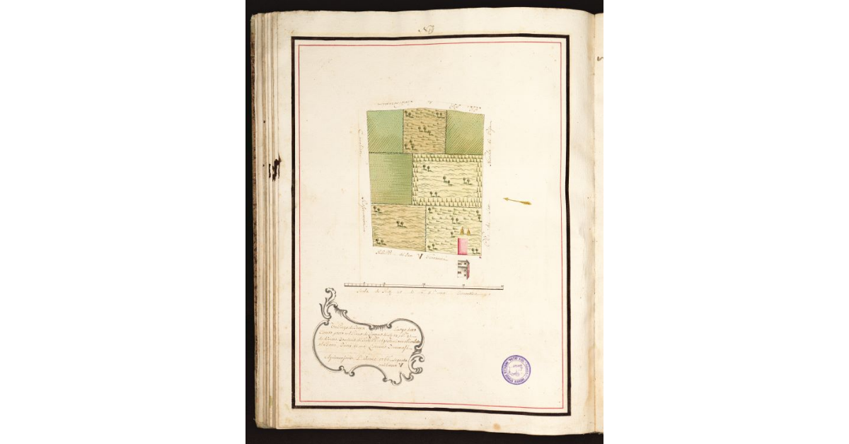 [Pianta Bani con Termini uno con Marca simile]