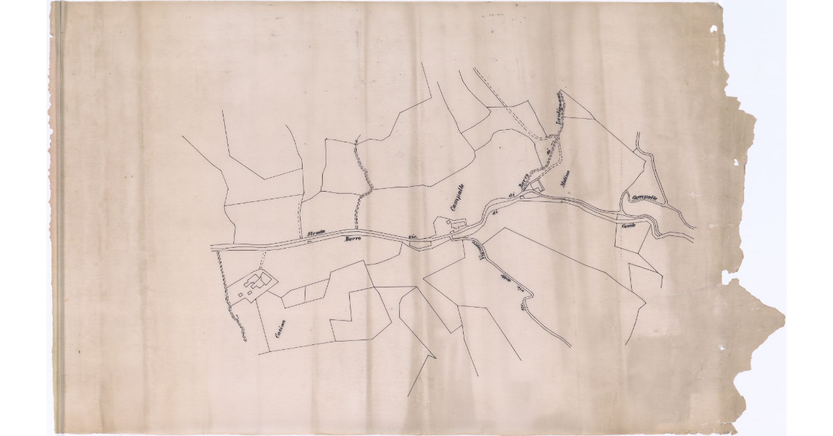 [Pianta della strada vicinale del Borro nella zona di Campalle, con il Borro di Lentignano]