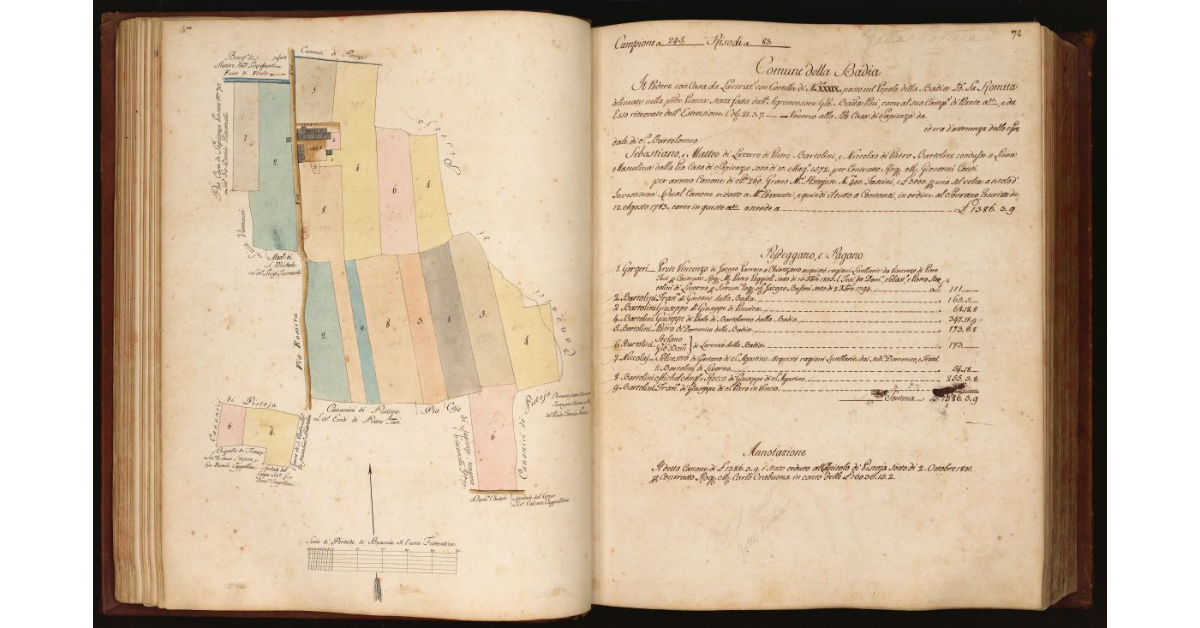 [Pianta di un podere con casa da lavoratore situato in località "La Romita", Comune e Popolo della Badia]