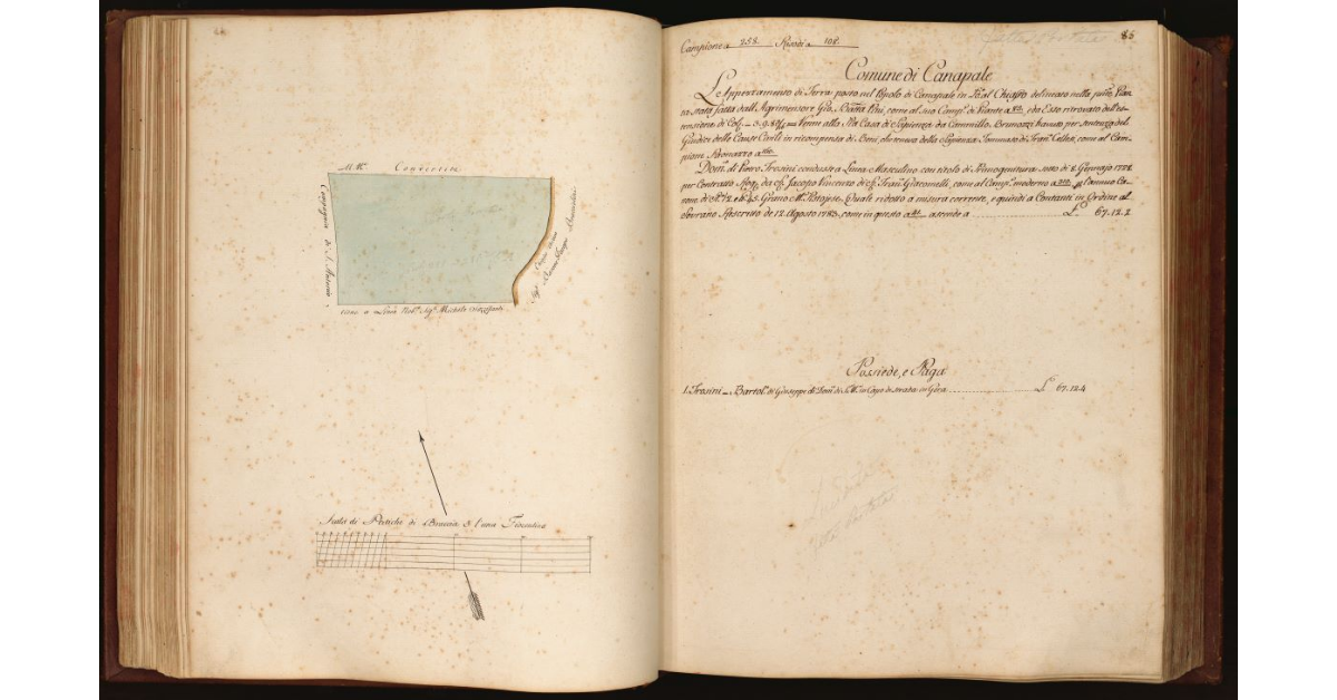 [Pianta di un appezzamento di terreno posto in località "al Chiasso" nel Comune e Popolo di Canapale]