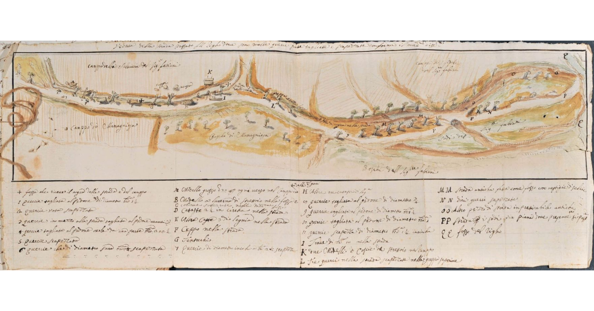 Veduta della strada passato il Righo [a Casciano] dove sono molte querci state tagliate e scapezzate conforme il medesimo disegno