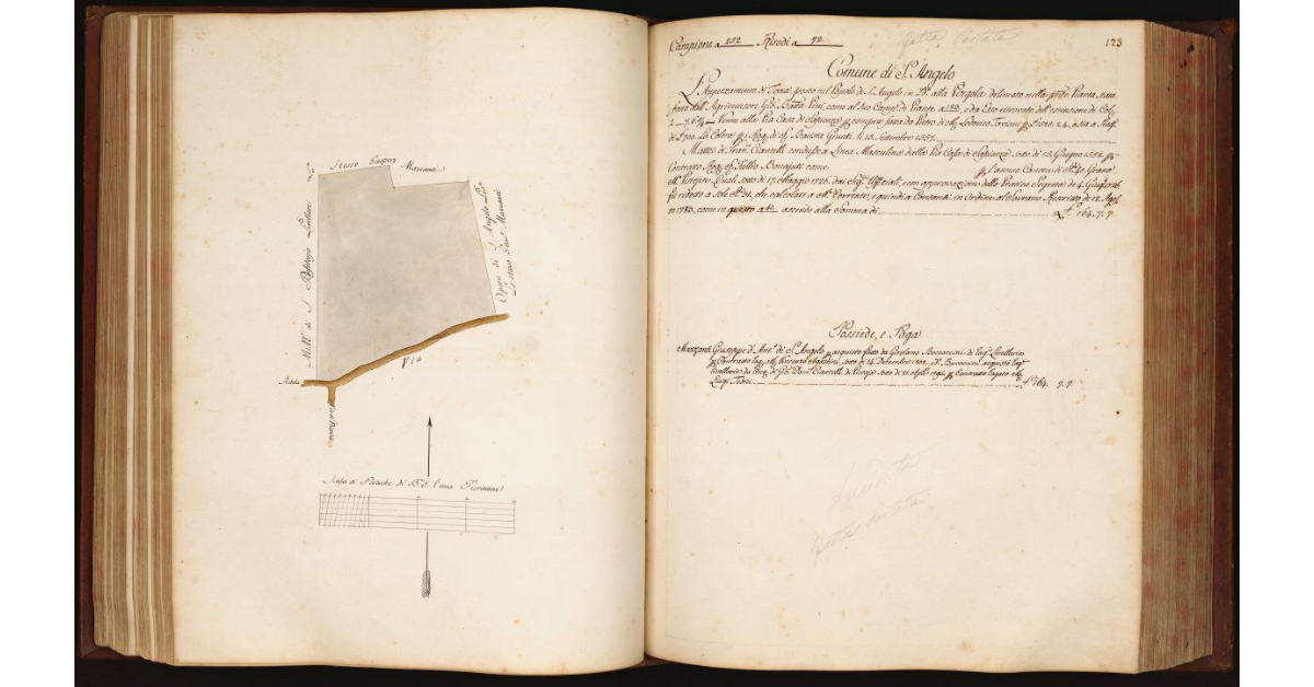 [Pianta di un appezzamento di terreno situato in località "alla Pergola" nel Comune e Popolo di S. Angelo]