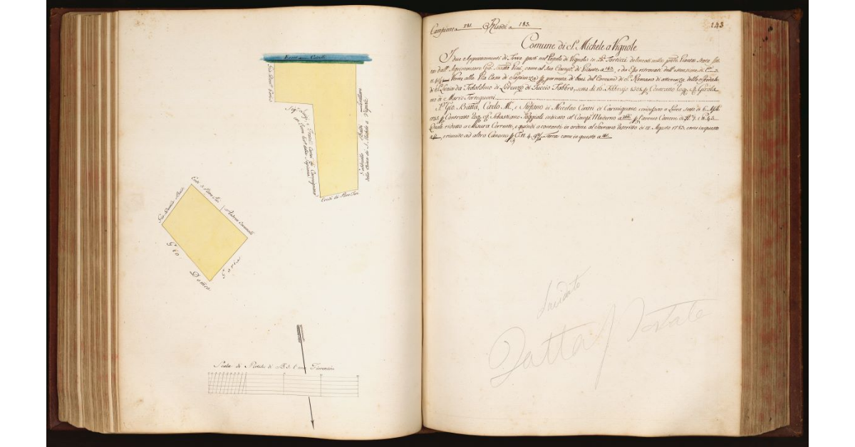 [Pianta di due appezzamenti di terreno situati in località "Torticci" nel Comune di S. Michele a Vignole]